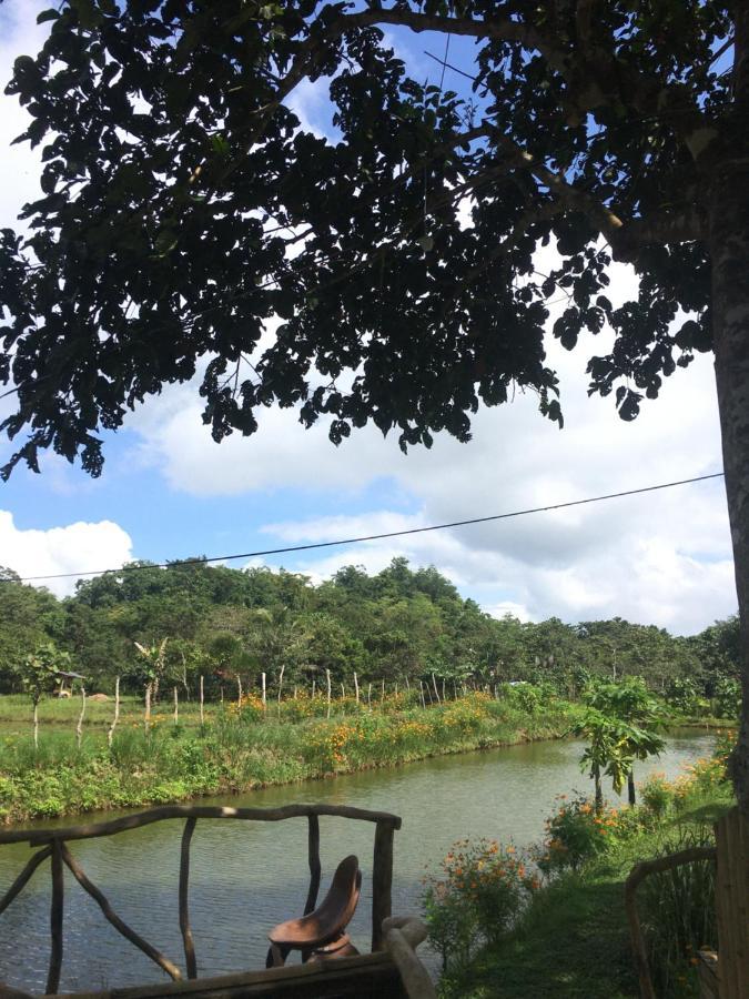 Hotel Camelo Farm Bilar Exterior foto