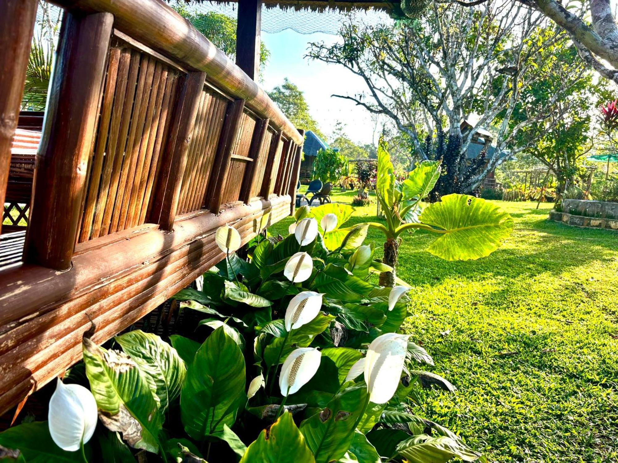 Hotel Camelo Farm Bilar Exterior foto